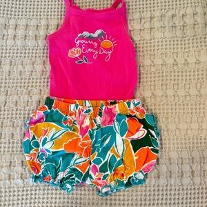 Carter's Baby Girl 3-6 Summer Outfit